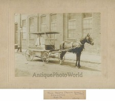 St.Louis Gelato Venditore Su