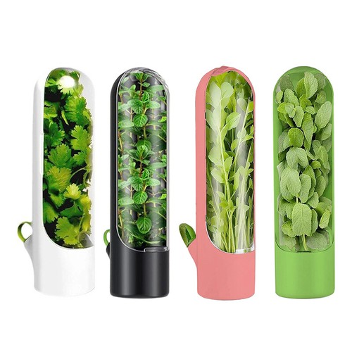 Scatola salva verdure - scatola,