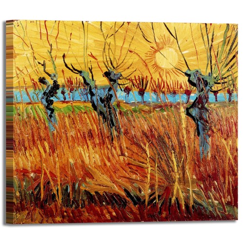 Van gogh salici tramonto - salici,