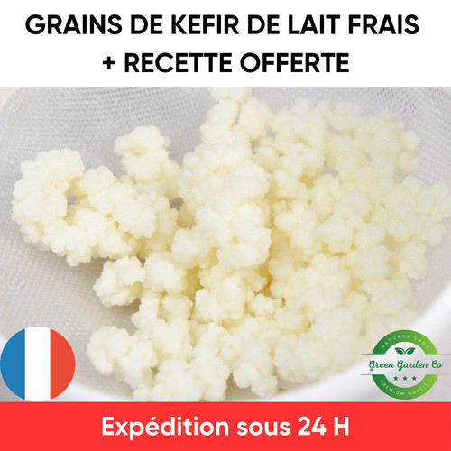 Kéfir lait kit de - kéfir,