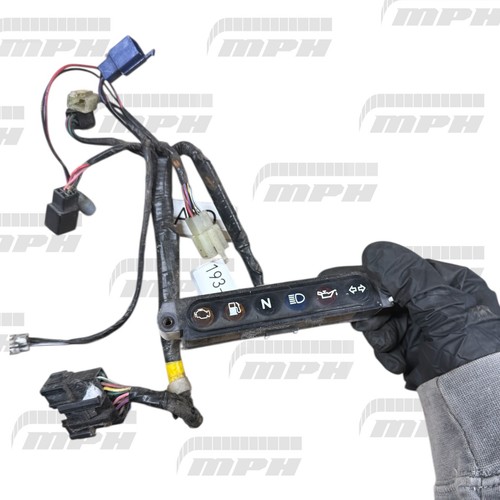 Triumph tiger 955 955i - triumph,