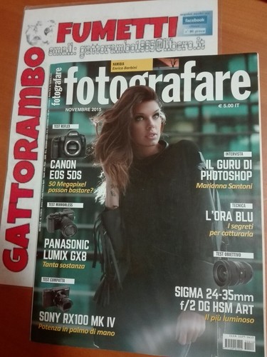 Fotografare anno 2015 - n.11,