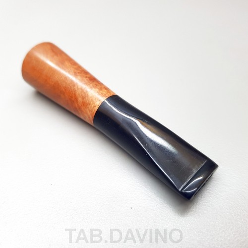 Lubinski bocchino radica - bocchino,