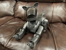 Sony Aibo ERS-210 cane robot