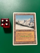 MTG TAIGA EXC FWB ITALIAN DUAL LAND