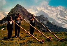 Alphorn Alphornbläser
