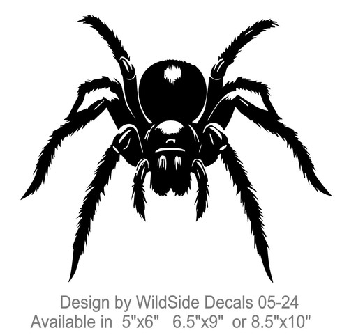 Adesivo tarantula spider - tarantula,
