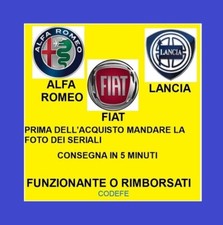 QUBO FIORINO PUNTO DUCATO