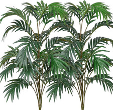 DVGUN 2 Confezioni Piante di