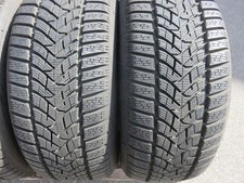Dunlop Winter Sport 5 225 55 R