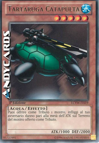 Tartaruga catapulta rara - tartaruga,