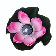  Decorazione Piscina Per