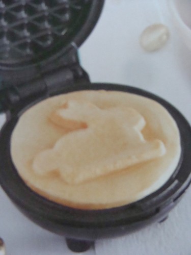 Nuovo dash bunny mini - dash,