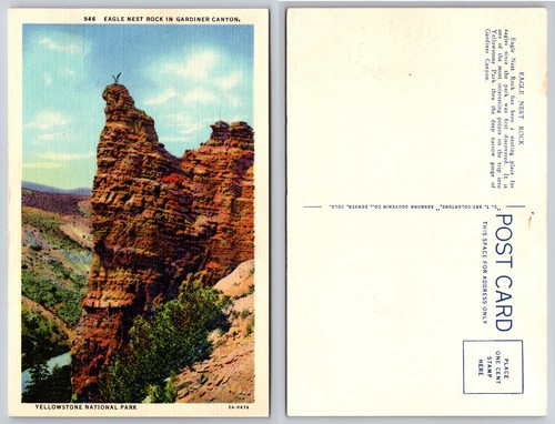 Cartolina aquila nido - aquila,