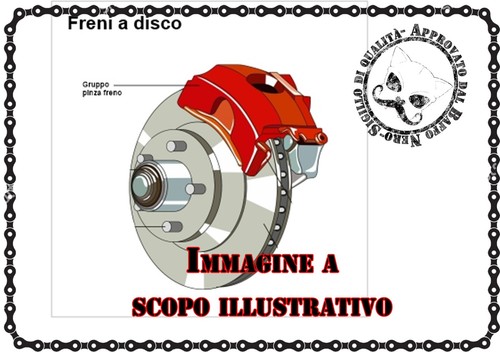 Coppia pinze freni - , alfa