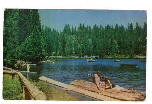 Cartolina pinecrest california - cartolina,