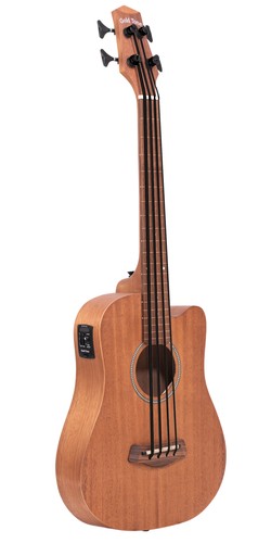 Basso micro fretless tono oro - micro,