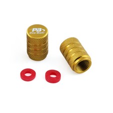 Tappi Valvola Polvere Oro per