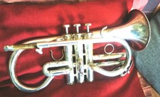 Schilke cornetta mib Argentata