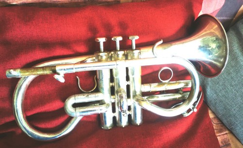 Schilke cornetta mib argentata - schilke,