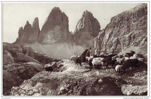 Tre cime lavaredo belluno - -,