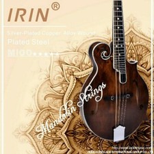 MUTA SET CORDE MANDOLINO IRIN
