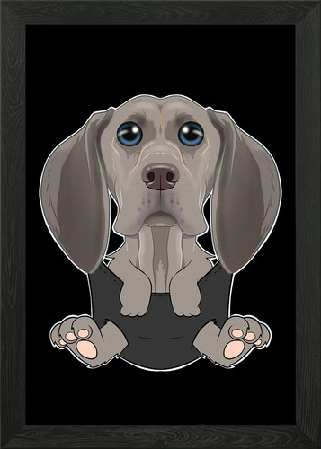 Quadro weimaraner cucciolo - cucciolo, in
