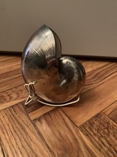 conchiglia Nautilus Falcone Gioielli Maestro Argentiere Da Collezione