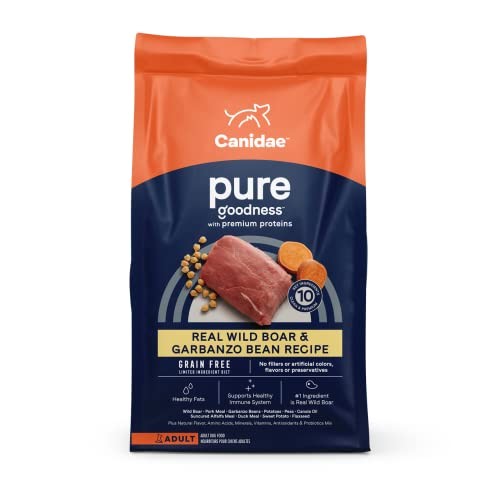 Canidae puro cinghiale - canidae,