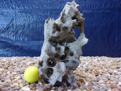 Texas holey rock - texas/tn,