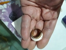 ANTIQUARIATO MODERNARIATO