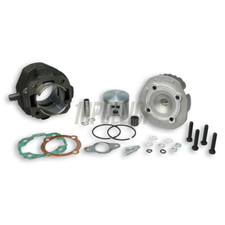 KIT CILINDRO MALOSSI 102cc