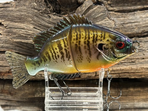 Esca nuoto bluegill - esca,