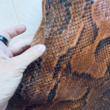 Pelle Di Pitone 5 Metri.