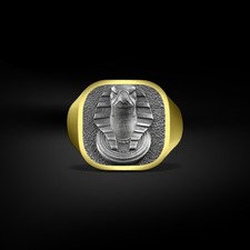 Anello uomo argento - uomo, in