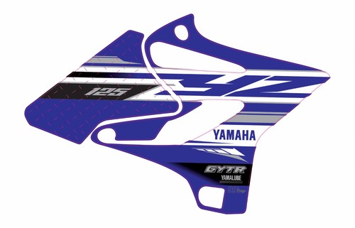 Grafiche convogliatore 125 - yz,