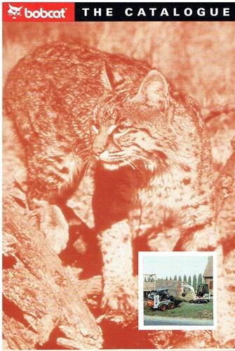 Bobcat 450 453 553 753 - 450,