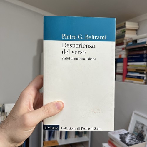 Pietro beltrami l esperienza - pietro, l'esperienza