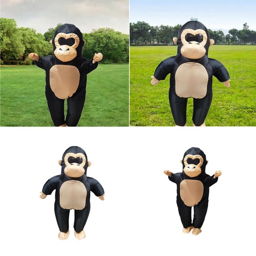Monkey - monkey, costume