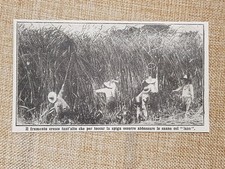 Il miracoloso terreno di