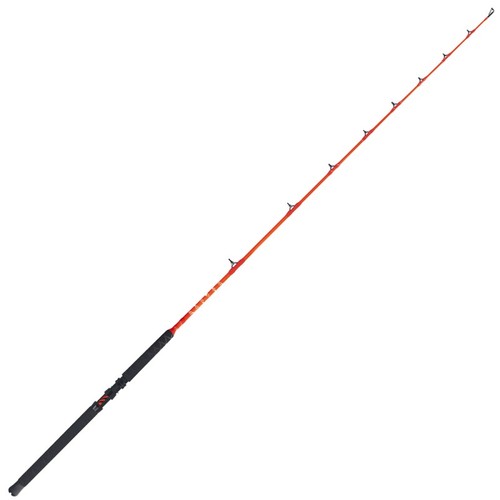 Canna falcon raptor - canna,