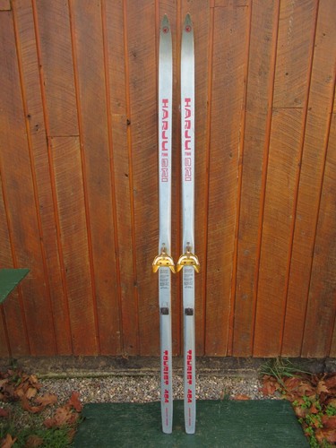 Bellissimi vecchi sci - vecchi, neve