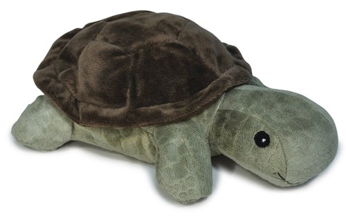 Cloud twilight turtle - b,