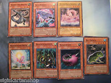 Drago Ragnarok Garasu Grande