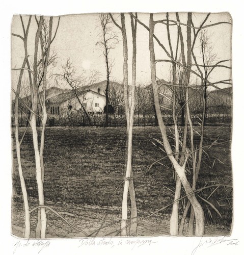 Livio ceschin dalla strada - ceschin, "dalla