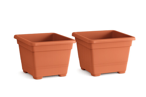 Set vaso quadro 18 cm - vaso,