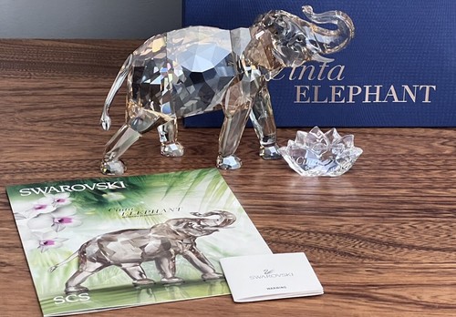 Elefante cinta nuovo con