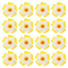 Fiori Di Ibisco Hawaiano 16pz