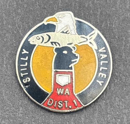 Vecchia spilla baseball - spilla,