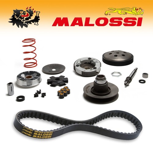 6119262 malossi gruppo - 6119262, [malossi]